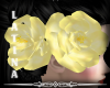 [ML]Yellow 2 Roses