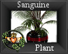 ~QI~ Sanguine Plant
