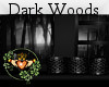 Dark Woods Rain Room