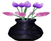 Pink n Purple Tulips