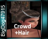 [BD] Crown+Hair
