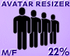 Avatar Resizer 22%