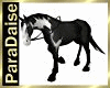 PD Gypsy Horse