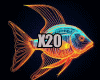 PARTICLE X20 FISH