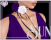 ( S ) Wedding Rose Chkr