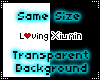 ~I~Loving Xiumin