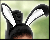 💎 Bunny Ears