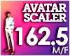 AVATAR SCALER 162.5%