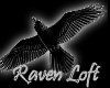 Raven Loft