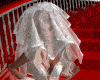 Veil