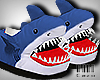 cz ★ Shark slipper
