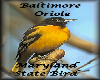 MARYLAND STATE BIRD