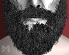 [M] Hoest Beard