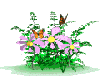 Ani-Flowers+butterflies
