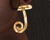 Gold J Earrings