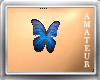 Butterfly !Blue