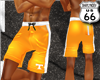 SD Tennessee Vol Short