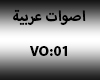 Arabic Voice Vo:01