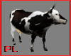 Animated Cow