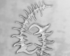 ✦ chrome wall sign