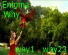 Enigma