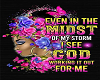 ~SL~ Midst of the Storm