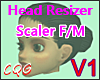 CG: PerFect HEAD *V1