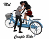 Couple Bike Anim