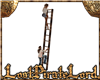 [LPL] Wood Ladder