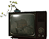 Junk Tv