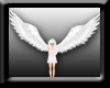 -F- Angels Wings F