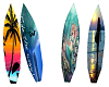 Surf Boards