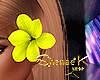 !SK! Yellow Flower Left