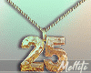 New Year '25 Lucky Charm