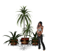 Plants Set