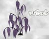 Glitter Purple Plant