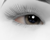 ZA Grey Eye