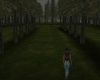 {LS} Wedding forrest
