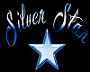 Silver Star Sign