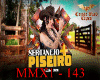 REMIX FORRO+PISEIRO/CVT