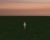 C- Horizon