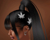 Nadia / Silv Ganja