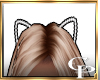 CP-Kitty Cat Ears