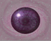 [M1105] L Purple Eyes