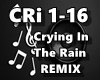 Crying In The Rain REMIX