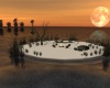 {LS} Bon Fire Island
