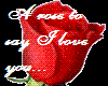 A Rose to say I love you