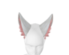 ฅ foxy kitten ฅ