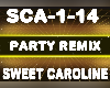 Remix Sweet Caroline
