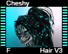 Cheshy Hair F V3
